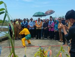 Sekda Ketapang dan Rombongan Forsesdasi Ikut Panen Padi dan Lepas 1.000 Bibit Nila
