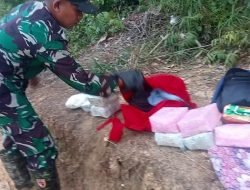 Satgas Pamtas Gagalkan Penyelundupan Sabu 12,9 Kg, Pelaku Berhasil Kabur ke Malaysia