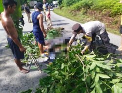 Laka Maut di Jalan Trans Kalimantan, Pengendara Motor Tewas Dihantam Mobil Box