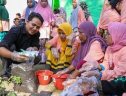 Sulap Pekarangan Rumah jadi Kebun Minimalis Dengan Budidaya Tomat