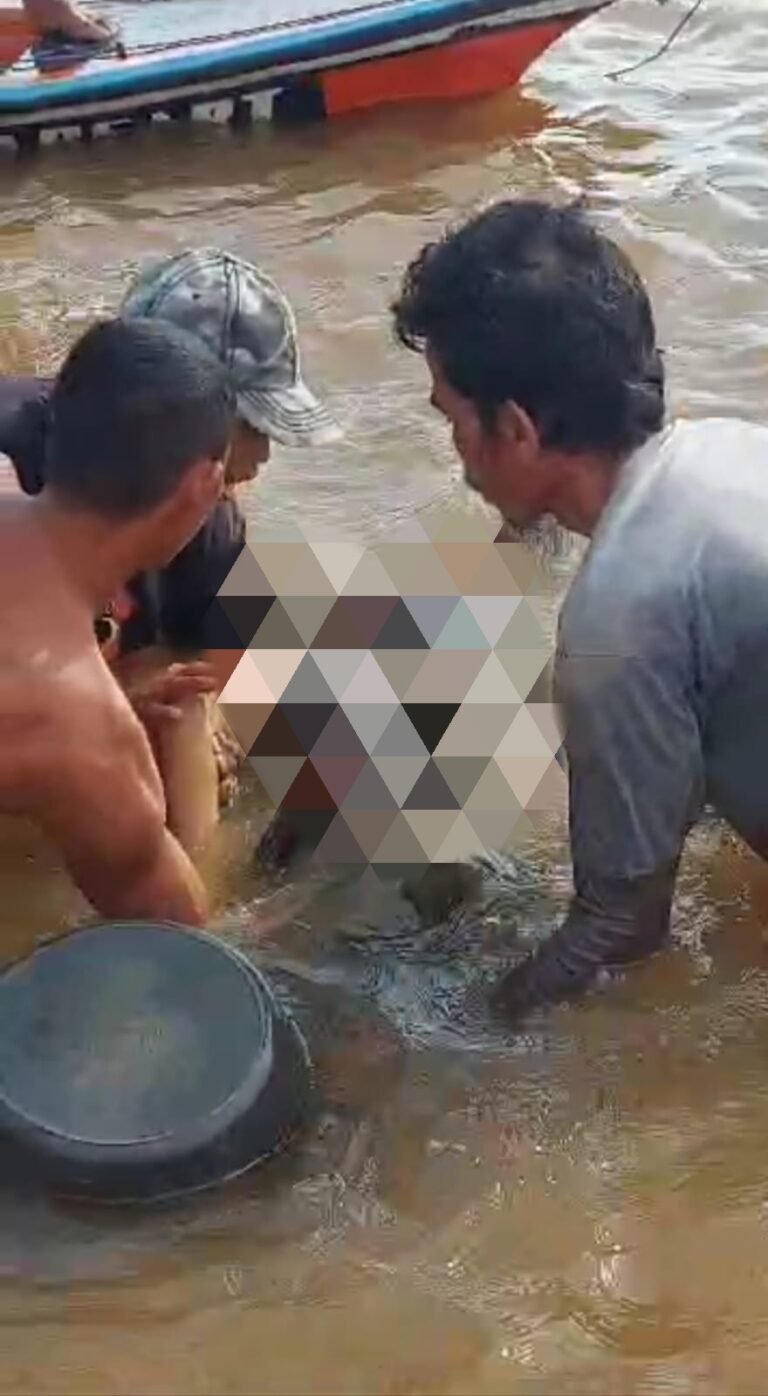 Ariska, Korban Terkaman Buaya Ditemukan Warga Tak Bernyawa