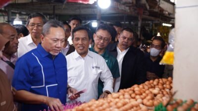 Mendag Pastikan Stok Beras Aman