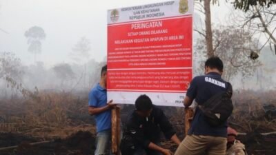Gakkum KLHK Segel Lokasi Karhutla di 4 Perusahaan Kalbar