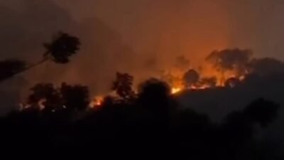 Kawasan Pantai Kura-Kura Terbakar, Karhutla Juga Lahap Areal Wisata Pasir Panjang