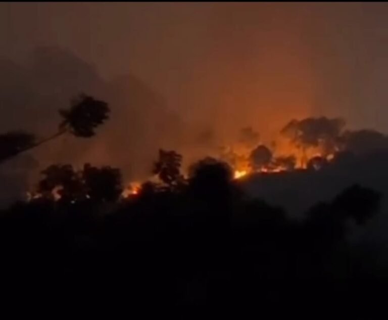 Kawasan Pantai Kura-Kura Terbakar, Karhutla Juga Lahap Areal Wisata Pasir Panjang