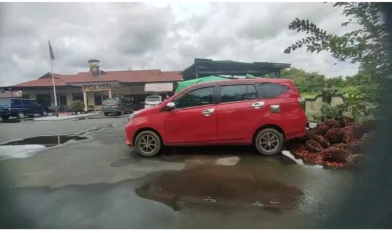 Kesal Penumpang Batalkan Sewa Mobil, Oknum Sopir Curi Buah Sawit PT. BPK