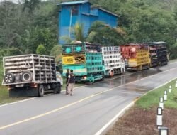 Dugaan Monopoli Pasokan Babi Jalur Laut, Kadisbunak Kalbar: Silakan Lapor