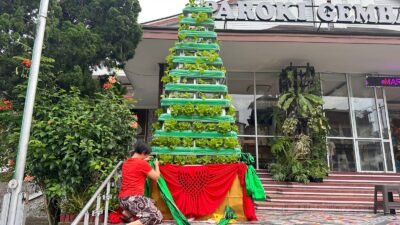 Pohon Natal Hidroponik dan Bekas Bungkus Apel ala Gereja Paroki Pontianak