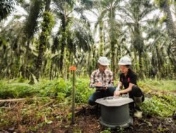 Beasiswa Sinar Mas Agribusiness and Food 2024 Dibuka, Raih Kesempatan Belajar dan Berkarier