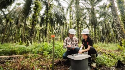 Beasiswa Sinar Mas Agribusiness and Food 2024 Dibuka, Raih Kesempatan Belajar dan Berkarier