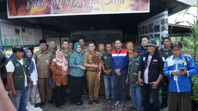 Cegah Krisis Pangan, Pertamina Panen Sorgum Bersama Warga Kalbar