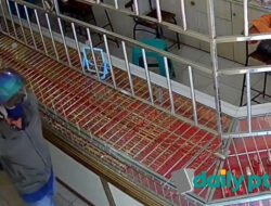 Toko Emas Surya Mitra Sungai Jawi Nyaris Dirampok, Pelaku 2 Orang Pakai Senjata Airgun