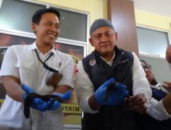 40 Ekor Kadal Langka Endemik Kalbar Akan Diselundupkan ke Luar Negeri