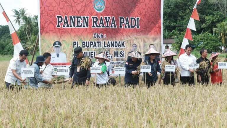 Panen Raya Padi di Desa Semenok, Pemkab Landak Dorong Kesejahteraan Petani