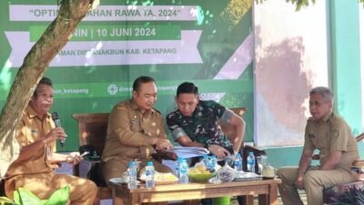 Wujudkan Ketahanan Pangan, Pemkab Ketapang Optimalisasikan Lahan Rawa