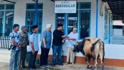 Sekda Ketapang Kurban Seekor Sapi di Kelurahan Sukaharja