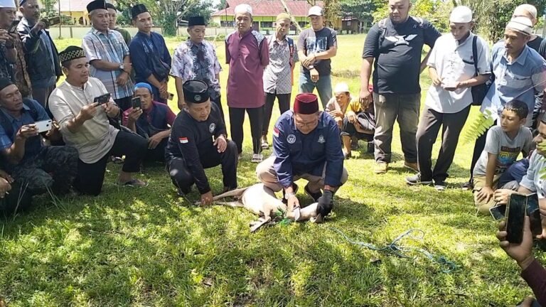 DPD Juleha Kab. Melawi Adakan Pelatihan Penyembelihan Halal