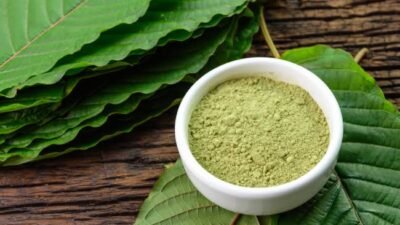 Presiden Jokowi Gelar Rapat Bahas Tata Niaga Kratom, Petani Sambut Baik