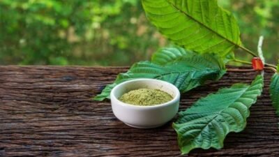 Kratom Bukan Narkoba, Petani Kapuas Hulu Harap Jokowi Segera Beri ‘Stempel’ Legal