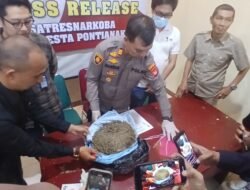 1,5 Kg Ganja Medan Ditangkap di Pontianak, Seorang Karyawan Barbershop Ditetapkan Sebagai Tersangka