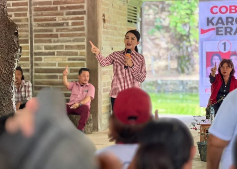 Karolin: Kewenangan Kepala Daerah Terbatas, Patut Dicurigai Calon yang Berjanji Lebih
