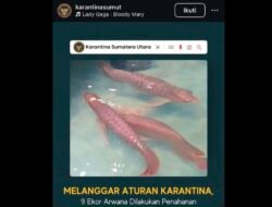 Aktivis Dorong Usut Tuntas Dugaan Pemalsuan Dokumen dan Penyelundupan 9 Ekor Ikan Arwana