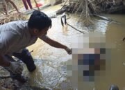 Hendak Mandi, Warga Temukan Jenazah Mengapung di Desa Songga Landak