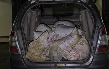 Lagi, Polisi Tangkap Penambang Emas Ilegal di PT WHS 2 Sambas