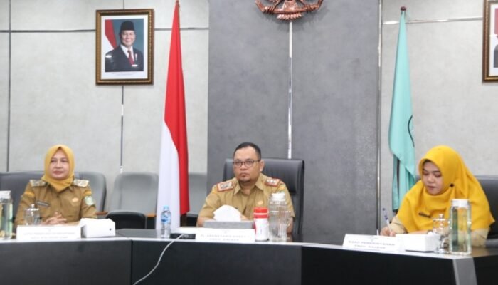 Mendagri Pastikan Pelantikan Kepala Daerah pada 20 Februari 2025