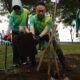 Wali Kota Pontianak Tanam Pohon Ketapang Kencana di Taman Surabaya