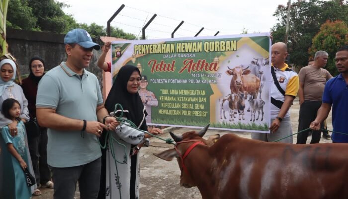 Hari Raya Idul Adha 1446 H, Polresta Pontianak Laksanakan Penyembelihan dan Penyaluran Hewan Qurban