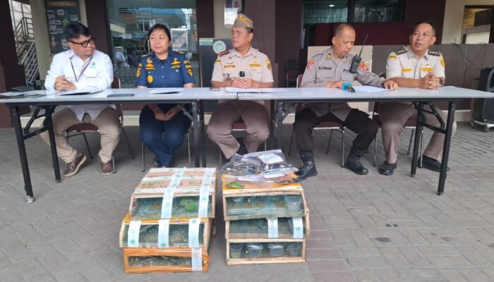 Balai Karantina Gagalkan Penyelundupan Burung Ilegal di Pelabuhan Dwikora