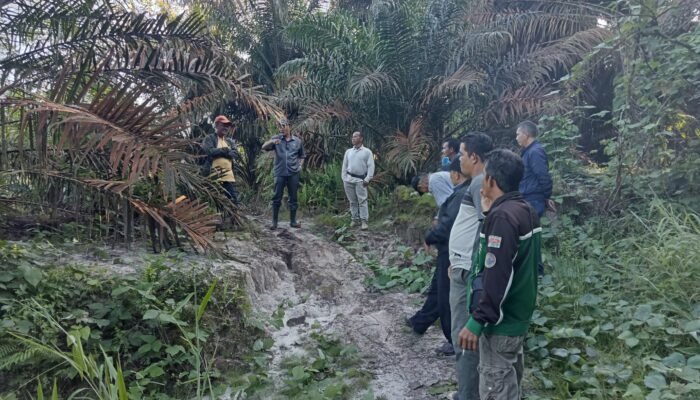 Carut Marut Lahan Sawit 29 Hektar di Sambas, Managemen PT. Sarana Esa Cita Buka Suara