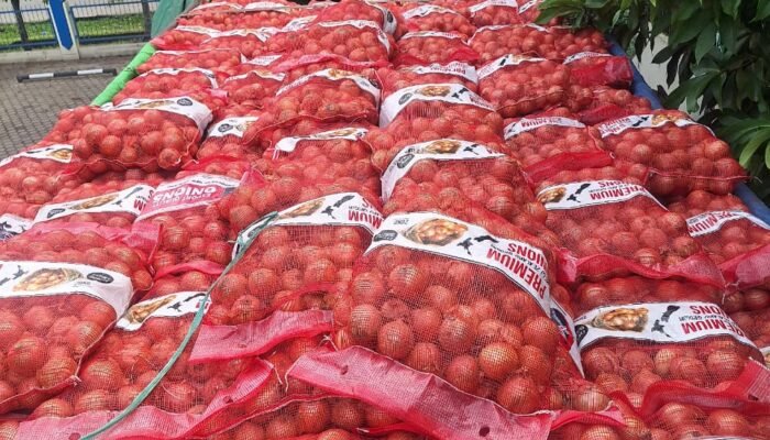 21 Ton Bawang Ilegal Asal Selandia Baru Tujuan Jawa Ditangkap di Pontianak