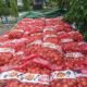 21 Ton Bawang Ilegal Asal Selandia Baru Tujuan Jawa Ditangkap di Pontianak