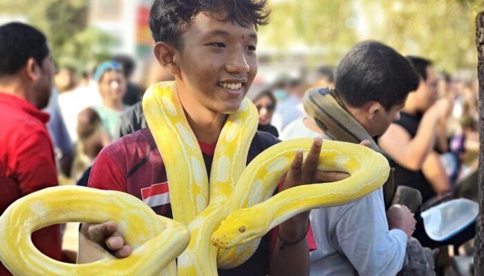 Komunitas Independent Exotic Pets Edukasi Masyarakat di Tengah Keramaian CFD Pontianak