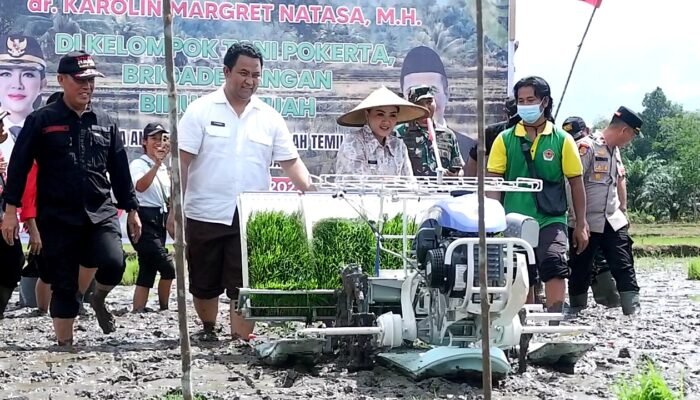 Lampaui Target Pusat, Capaian LTT Padi Sawah Landak Tertinggi di Kalbar