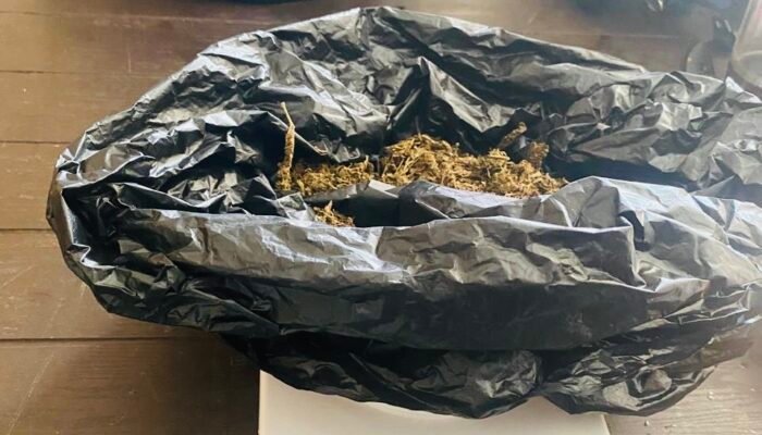 Penyelundupan Ganja Lewat Kargo Gagal, Kopasgat Perketat Jalur Udara di Sentani