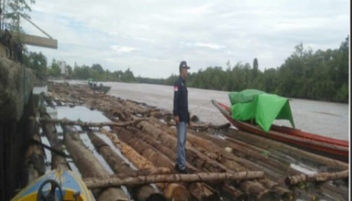 Dua Direksi PT BR Jadi Tersangka Peredaran Kayu Ilegal di Ketapang