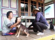 Vaksinasi Besar-besaran Hewan KLB Rabies di Landak Hampir Rampung