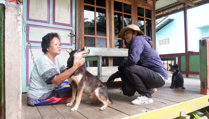 Vaksinasi Besar-besaran Hewan KLB Rabies di Landak Hampir Rampung