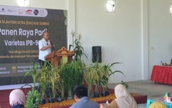 Kolaborasi IPB dan Kelompok Tani Dare Nandung, Tingkatkan Produktivitas Padi dan Ekspor Produk Pertanian