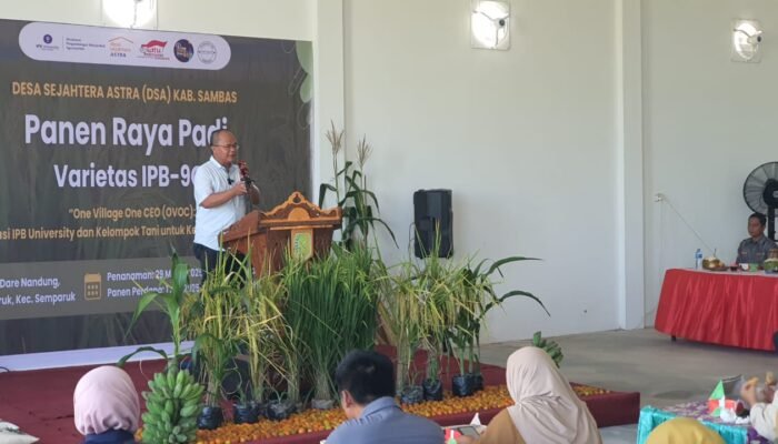 Kolaborasi IPB dan Kelompok Tani Dare Nandung, Tingkatkan Produktivitas Padi dan Ekspor Produk Pertanian
