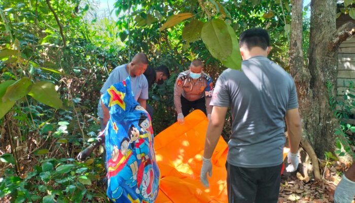 Pergi Dari Rumah, Pria di Sambas Ditemukan Tewas Tergantung di Pohon  