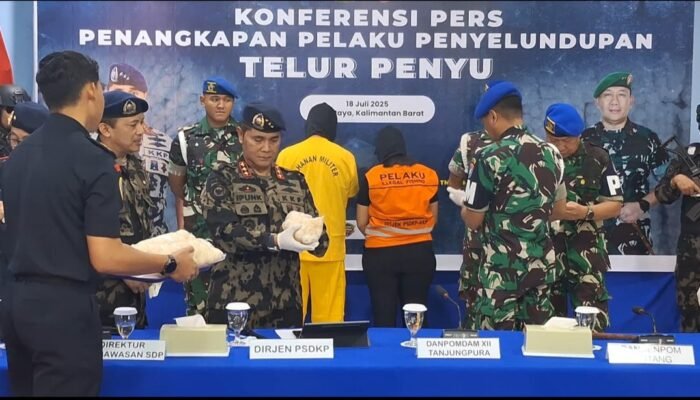 Oknum TNI Terlibat Penyelundupan Telur Penyu Jaringan Internasional, Ditangkap di Kota Singkawang Saat Bersama Rekan Wanitanya