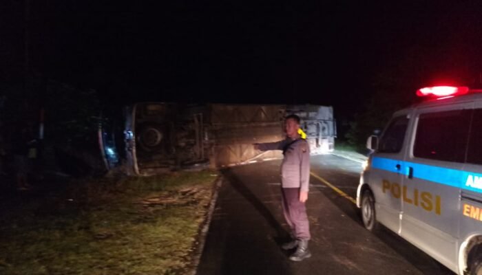 Sopir Mengantuk, Bus Tri Star Melawi Terguling di Jalan Sintang-Melawi