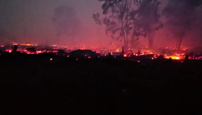 Kalbar Berpotensi Terbakar, Dua Kabupaten Tetapkan Status Darurat Bencana Asap