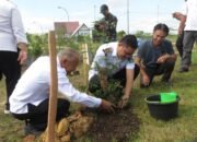 Pemkab Landak Bersama PTPN IV Tanam 500 Bibit Pohon di Kawasan Gor Patih Gumantar
