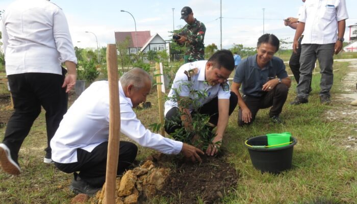 Pemkab Landak Bersama PTPN IV Tanam 500 Bibit Pohon di Kawasan Gor Patih Gumantar