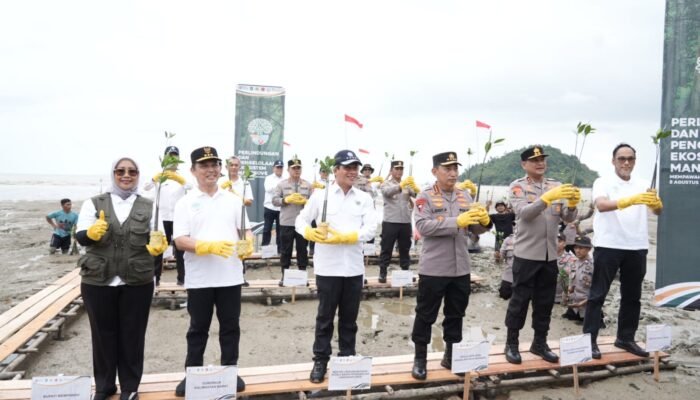 Kolaborasi Nasional Jaga Pesisir: Kapolri, Menteri LH, dan Gubernur Tanam Mangrove di Mempawah Kalbar
